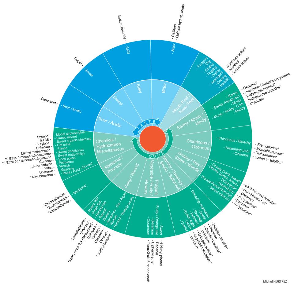 Sense of Taste Chart
